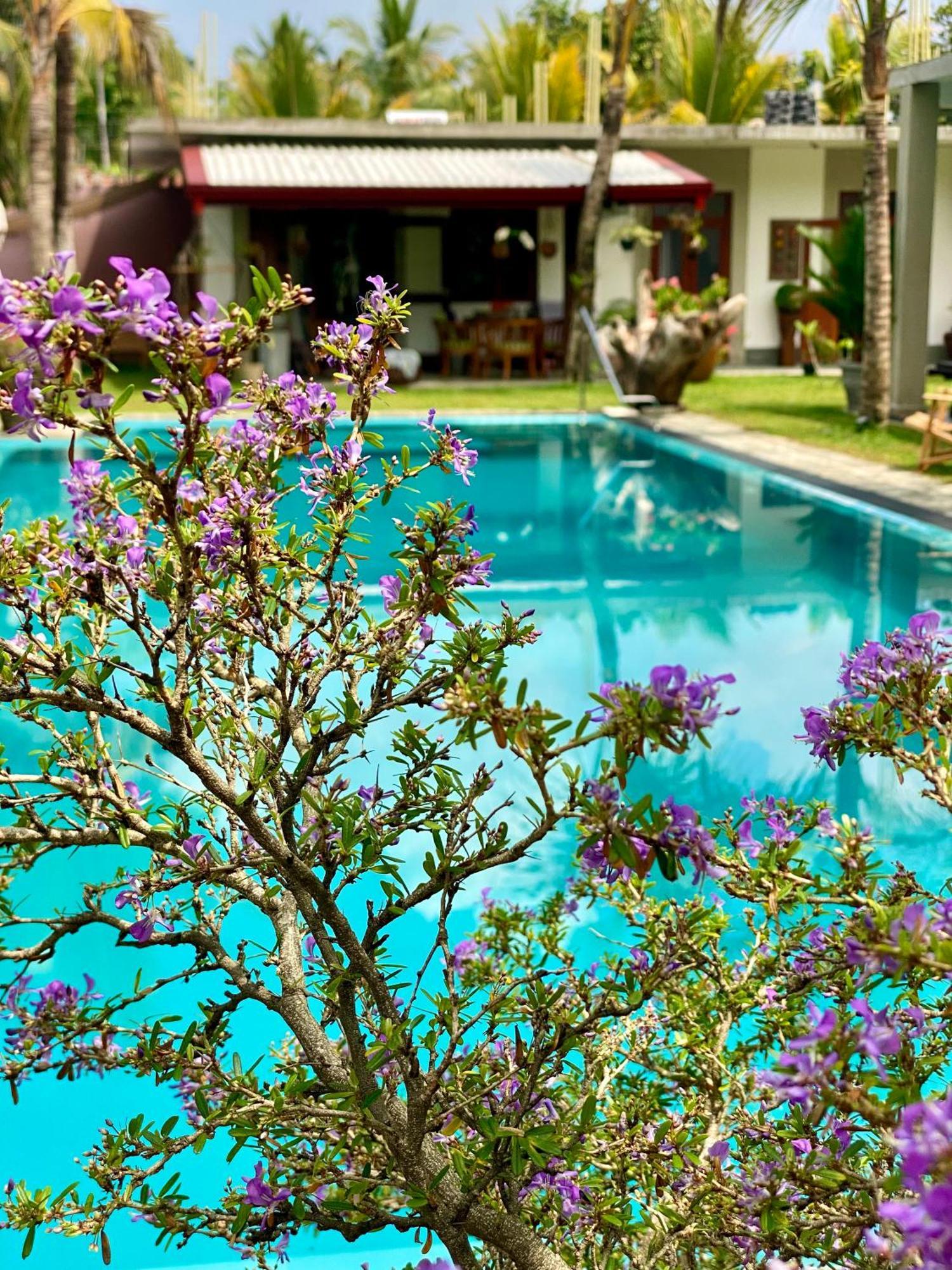 Bed and Breakfast Sri Palms Kosgoda Exterior foto